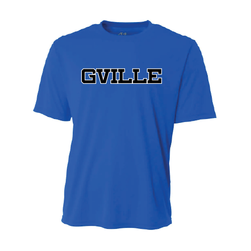 PYBA Mens SS Dri Fit - Royal